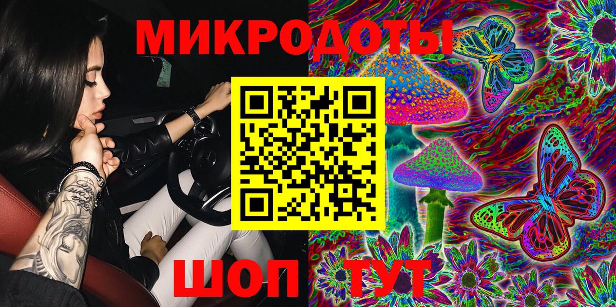 Псилоцибиновые грибы Psilocybine cubensis Кимры