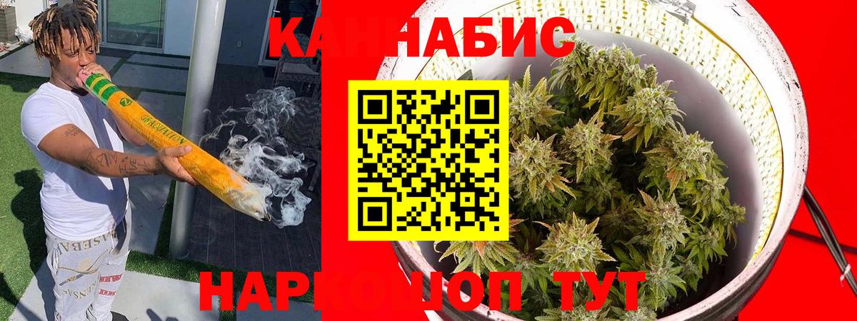 Кимры  Канабис планчик  Марихуана индика  Вход с VPN  Шишки марихуана Bruce Banner 